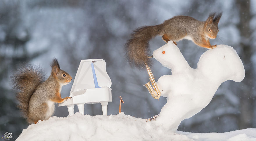I Shoot Squirrels With Tiny Musical Instruments Through My Kitchen Window I Shoot Squirrels With Tiny Musical Instruments Through My Kitchen Window