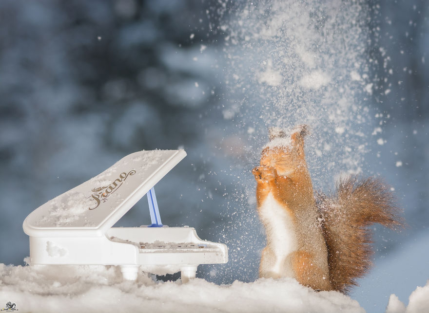 I Shoot Squirrels With Tiny Musical Instruments Through My Kitchen Window I Shoot Squirrels With Tiny Musical Instruments Through My Kitchen Window