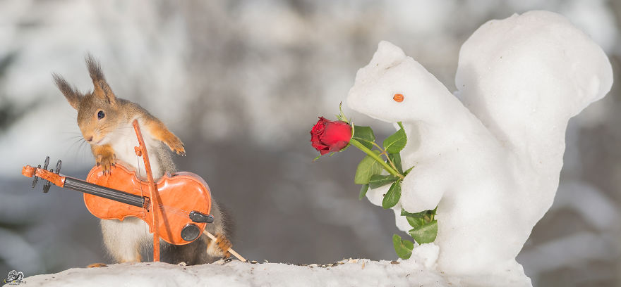I Shoot Squirrels With Tiny Musical Instruments Through My Kitchen Window I Shoot Squirrels With Tiny Musical Instruments Through My Kitchen Window