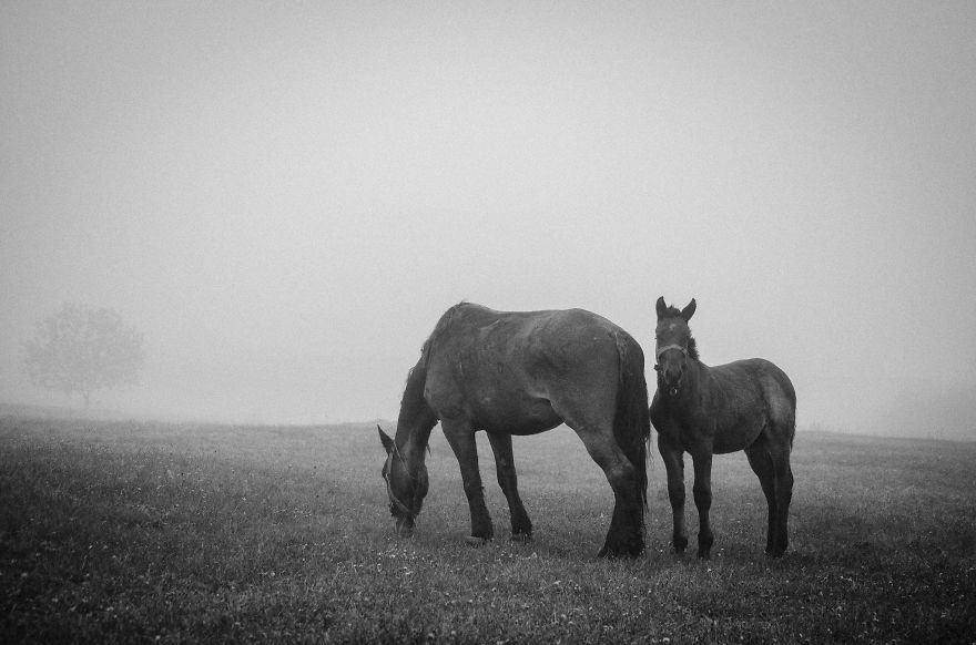 I Live In A Small Romanian Village Where Time Stands Still
