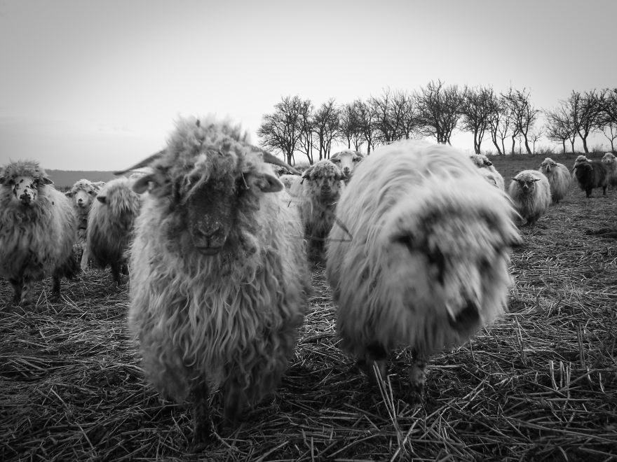 I Live In A Small Romanian Village Where Time Stands Still