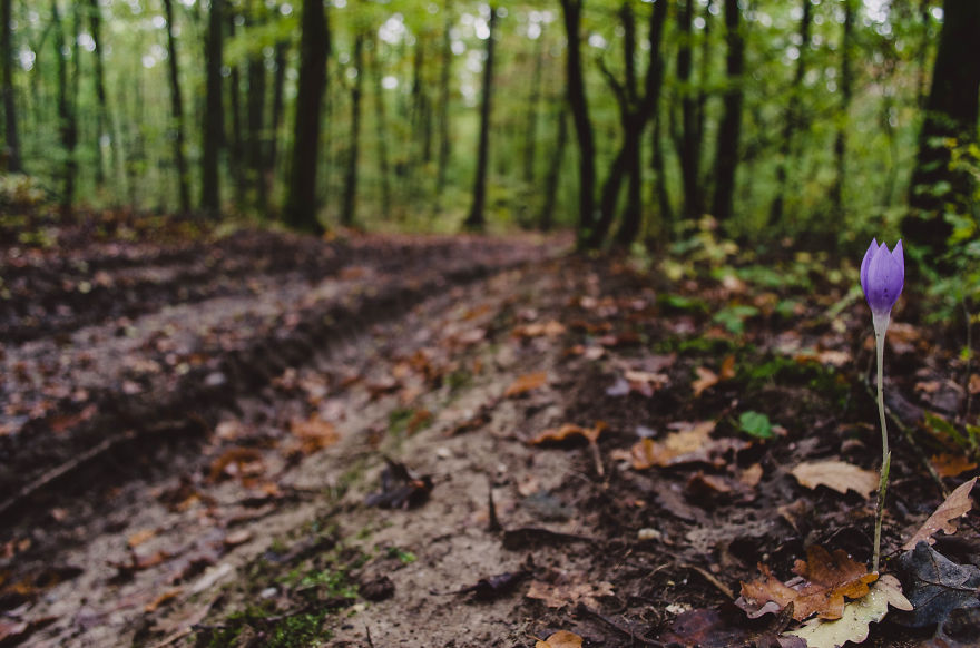 I Live In A Small Romanian Village Where Time Stands Still I Live In A Small Romanian Village Where Time Stands Still