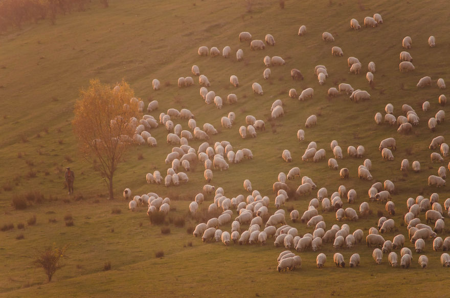 I Live In A Small Romanian Village Where Time Stands Still