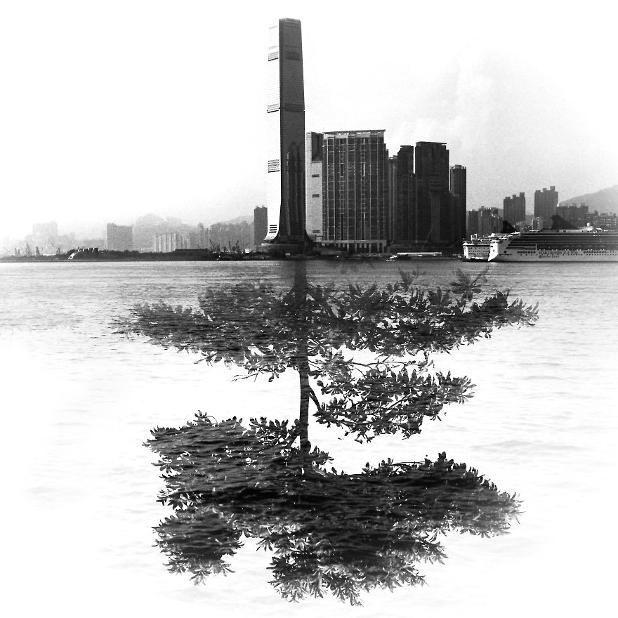 I Made These Double Exposure Photo On A Photo Film And Printed Them In The Darkroom