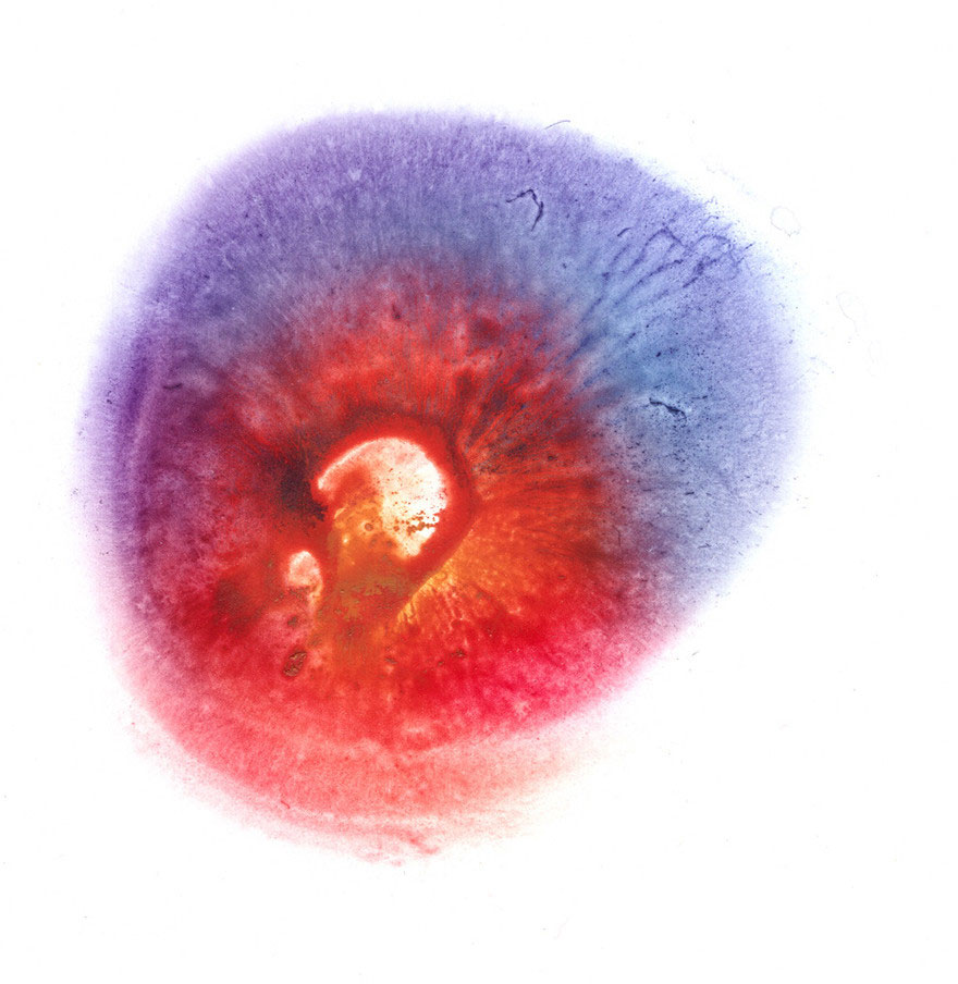 I Make Art From Model's Breasts