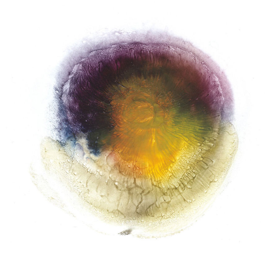 I Make Art From Model's Breasts