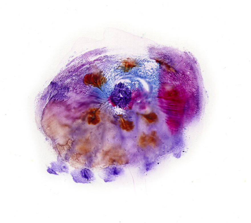 I Make Art From Model's Breasts