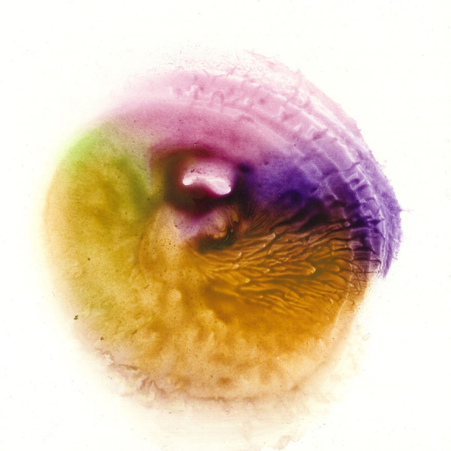 I Make Art From Model's Breasts