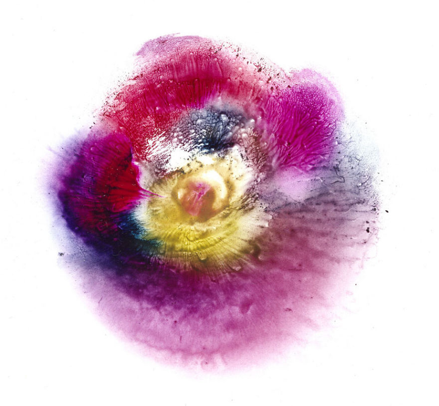 I Make Art From Model's Breasts