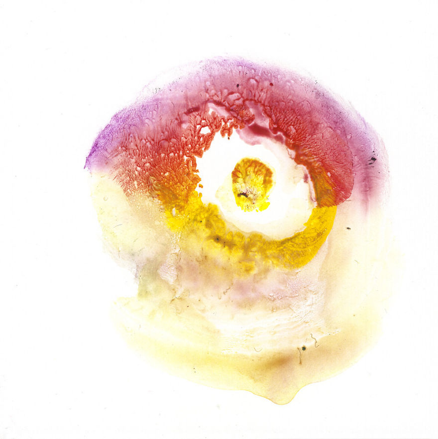 I Make Art From Model's Breasts