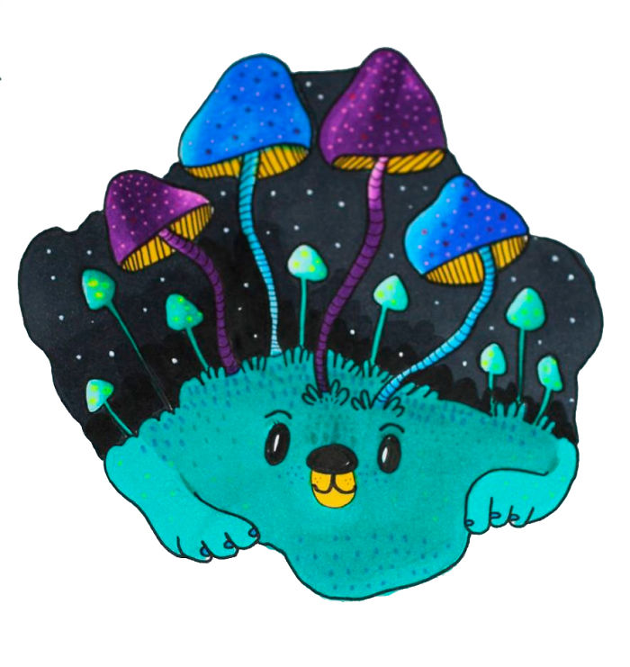 I Make Different Drawings Out Of The Same Base Shape