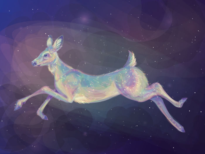 I Make Surreal Vector Art Inspired By Nature