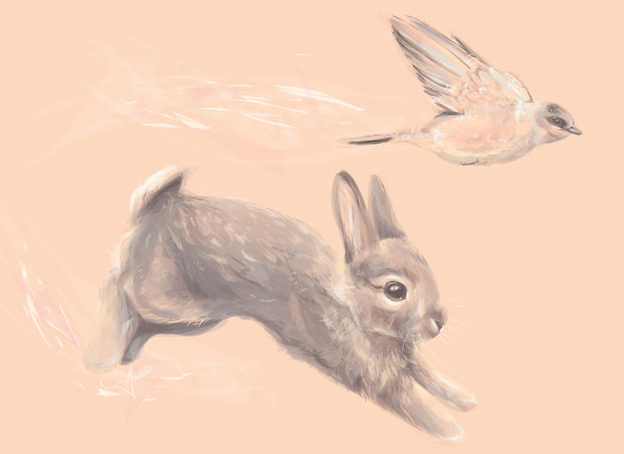 I Make Surreal Vector Art Inspired By Nature