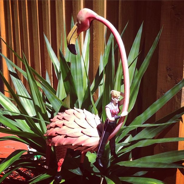 I Photograph Madonna Dolls In Quirky Spots As I'm On A Mission To Meet Madonna