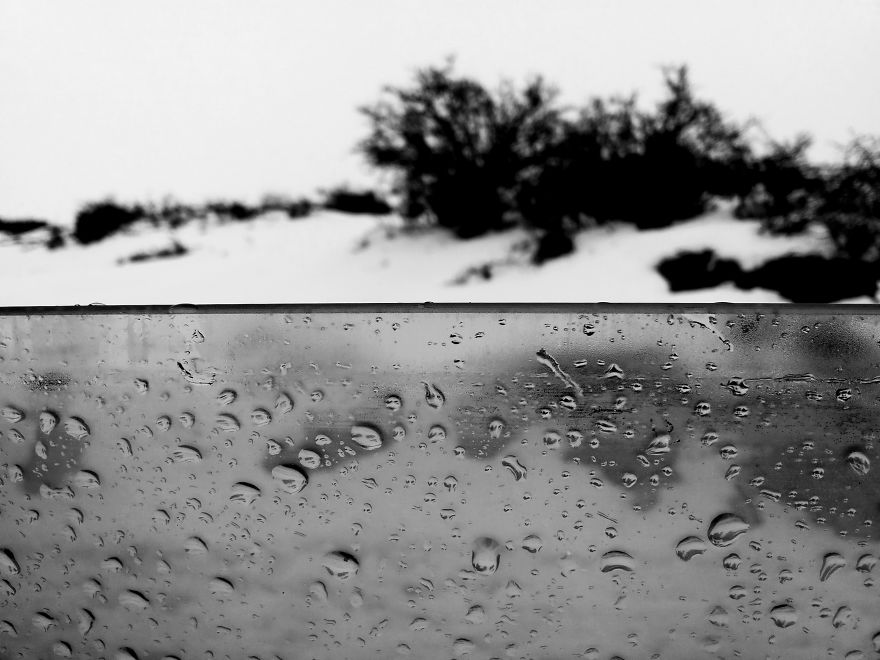 I Photograph Nature In Black And White