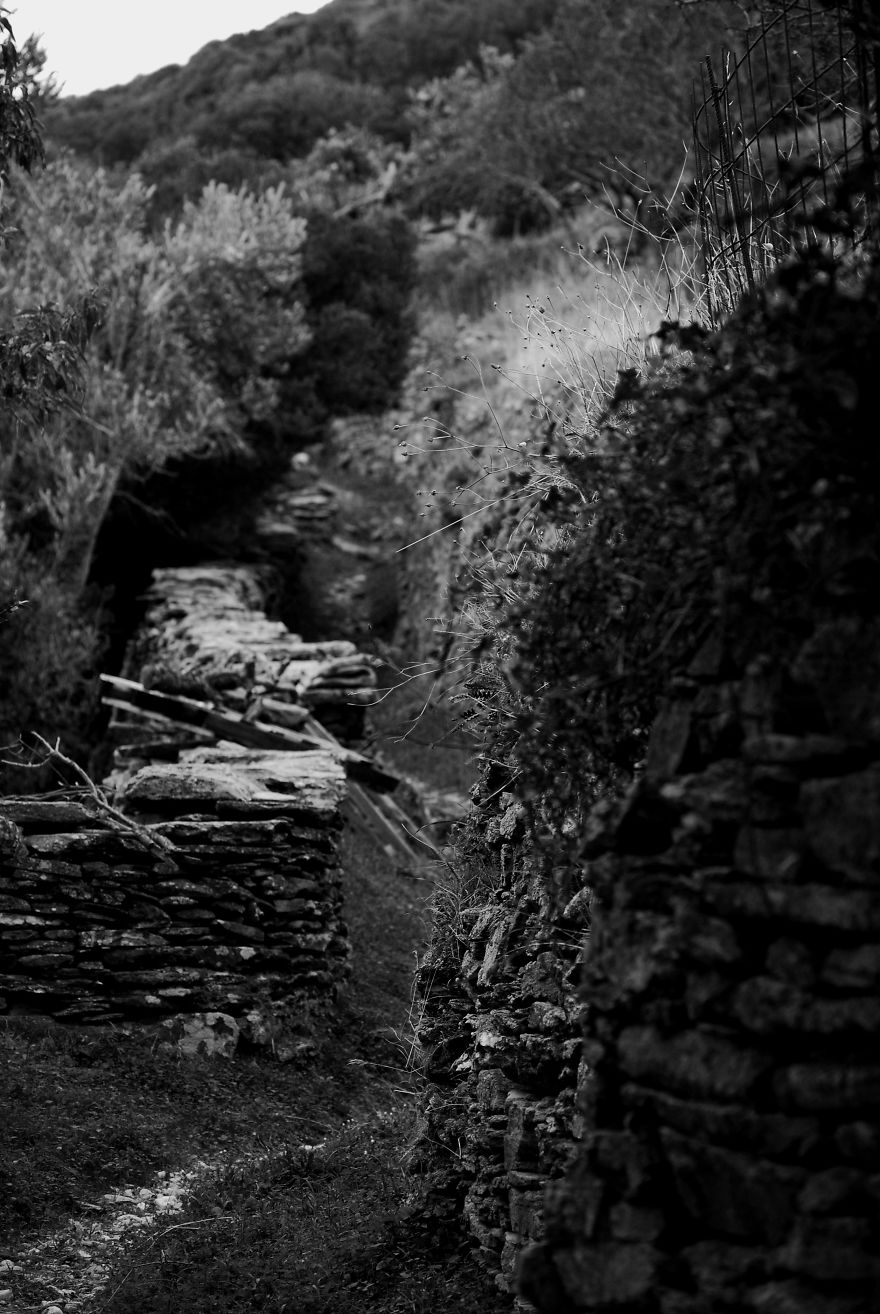 I Photograph Nature In Black And White