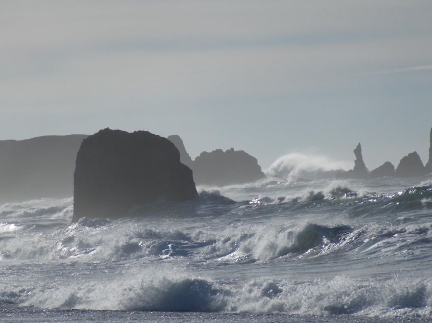 Oregon Coast Brandon