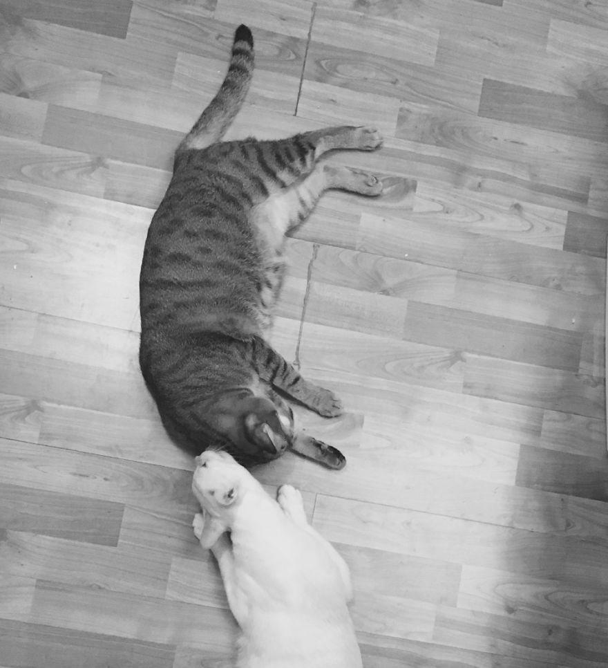 The Moment When They Wake Up And Welcome Me Home!