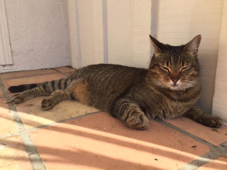 Chillaxing In The Sun