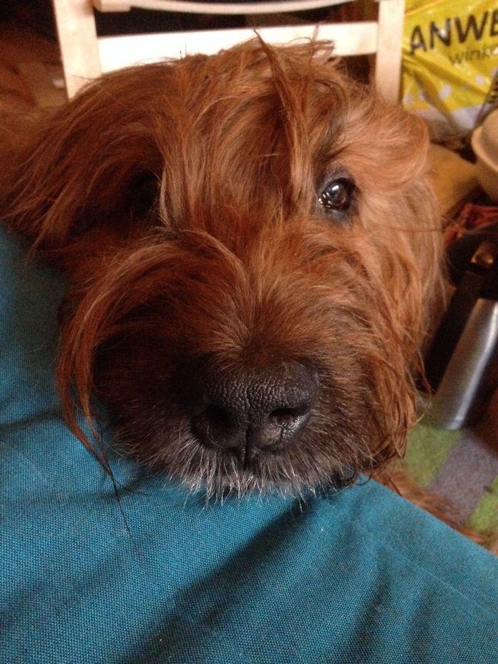 Ow Come On.... Please?!