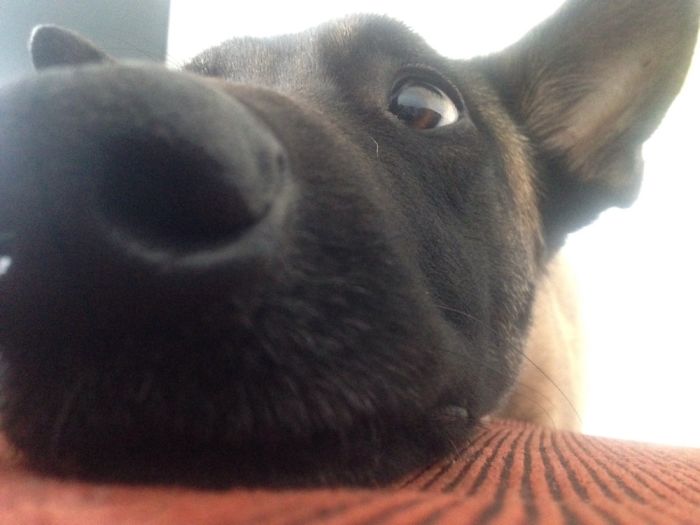 Just... Never Mind...