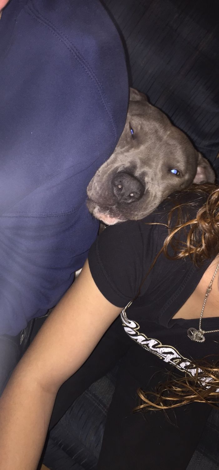 I'm Sorry- What's Personal Space?