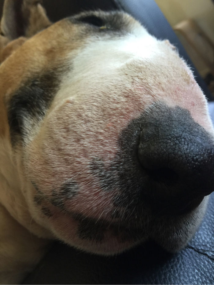 The Velvet Brick...fiona!