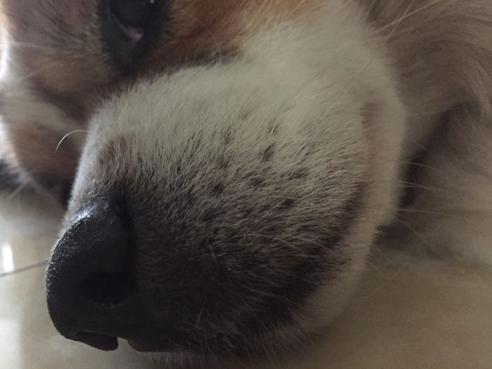 Leave My Nose Alone...