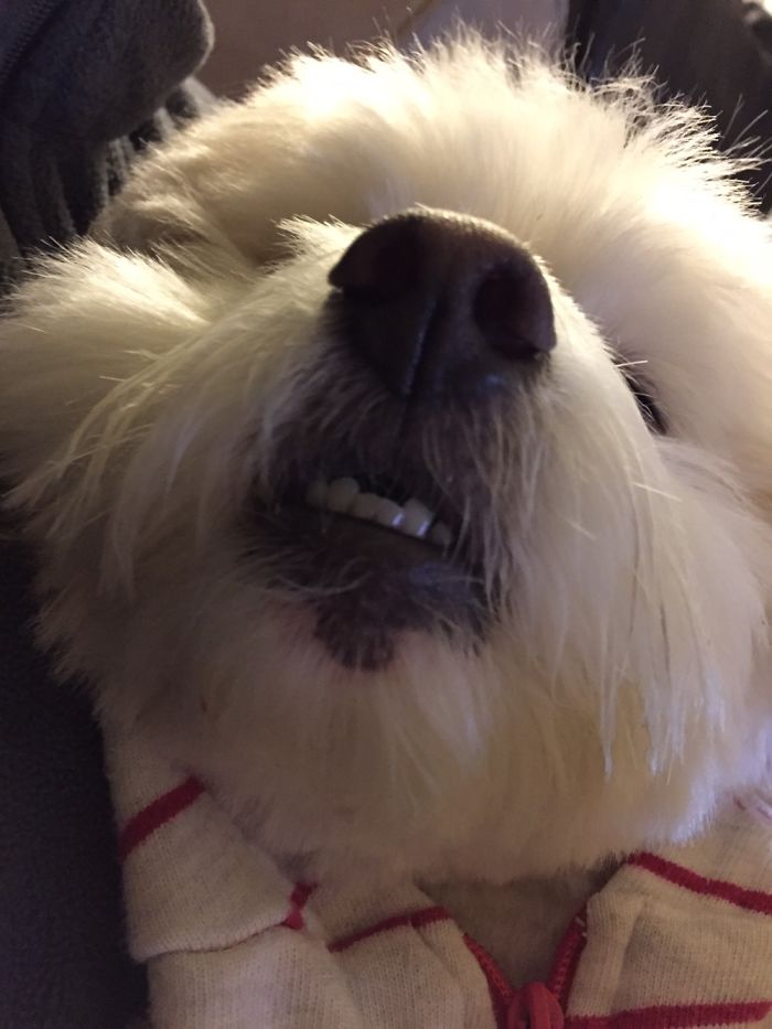 "there's Something On The Back Of Your Phone"