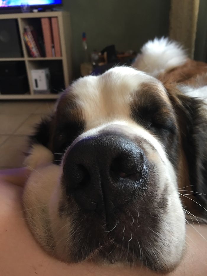 Just 5 More Minutes Ok Mom ...