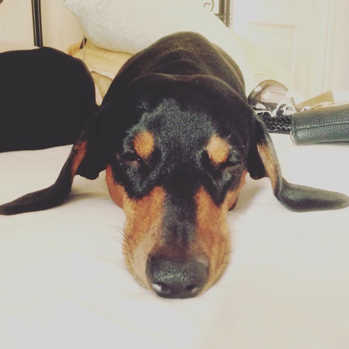 Ready To Take Off ✈️