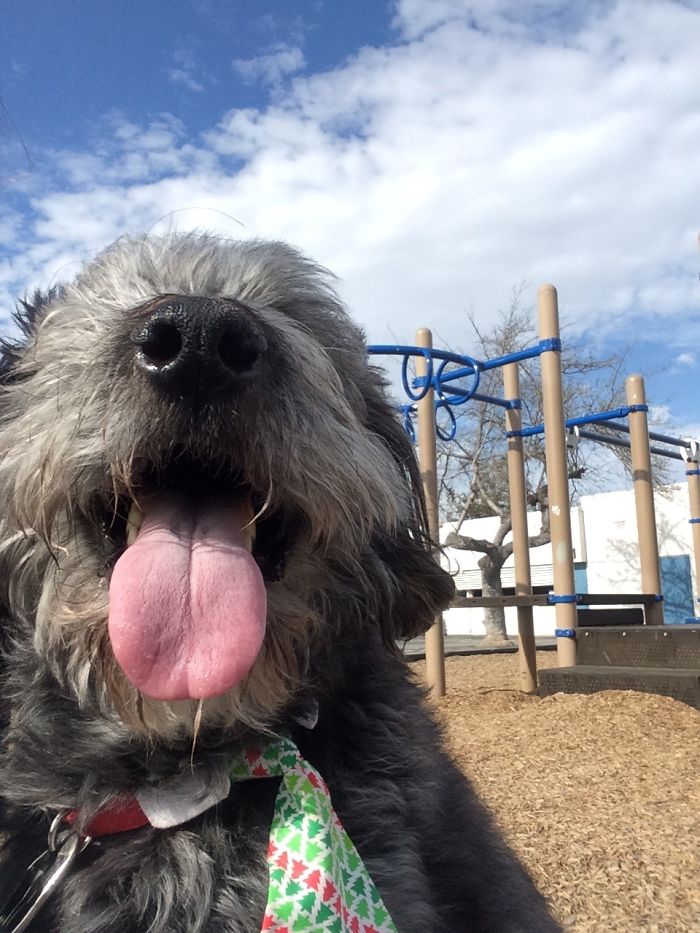 Spring Is In The Air!