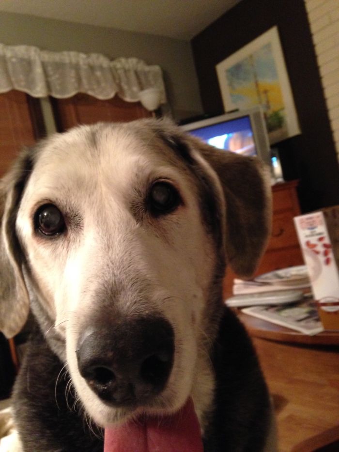 Are You Trying To Watch Tv?