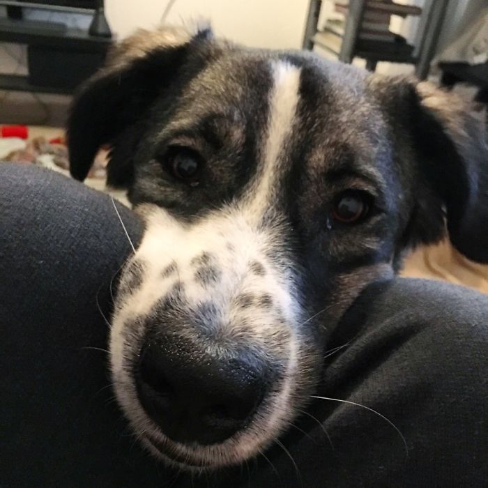 Pereg Wondering What I'm Eating