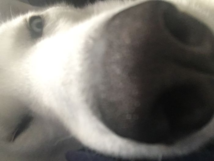 How Does This Camera Work?