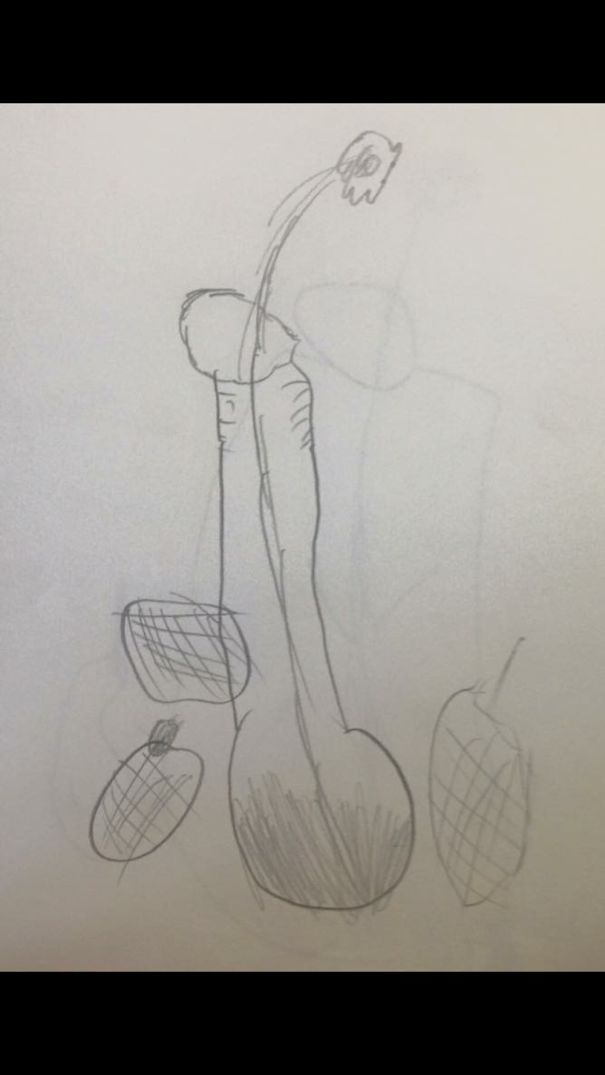 Drawing Vases With Flowers In Art Class