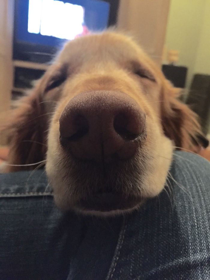 Your Leg Is The Best Pillow