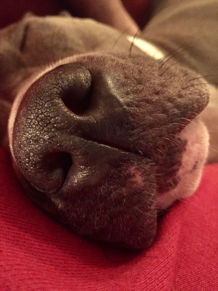 Macy Grey Doesn't Care What You're Doing Because She Is Just Too Tired!