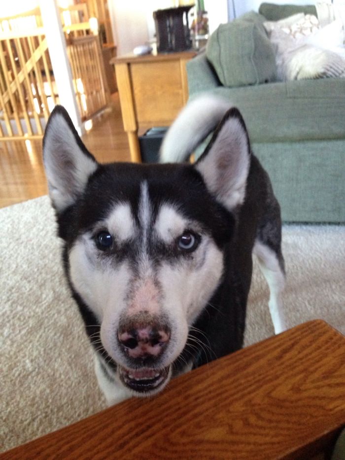 Hey Can I Sit There ?