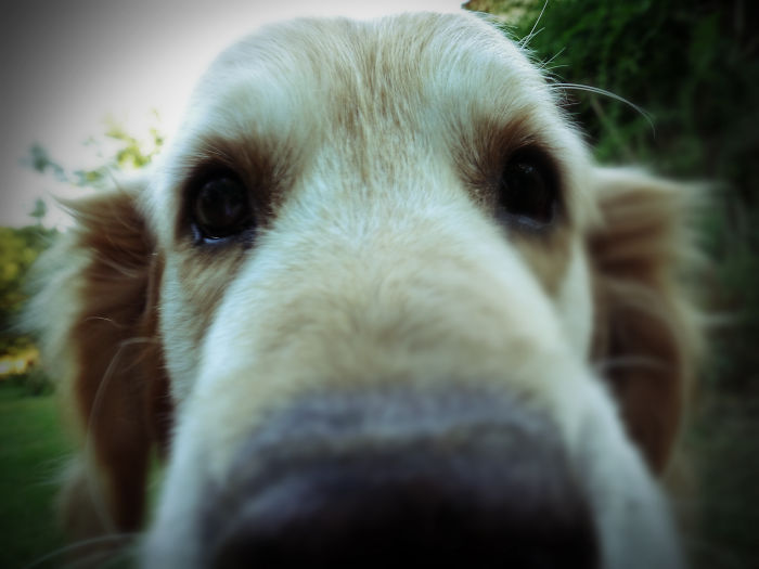 You Got A New Camera?! Lemme See!