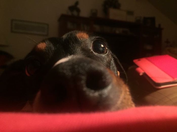 Ferris Is A Nosy Little Boy!