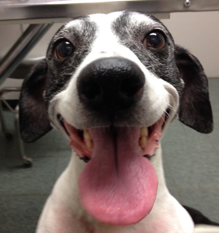 Our Beloved Tracker @theotisshow