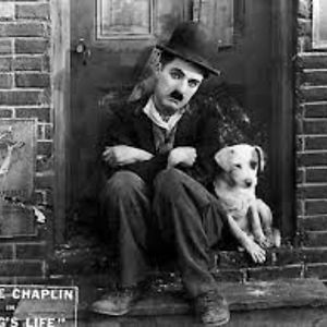 hossein-nazarkhany93 avatar