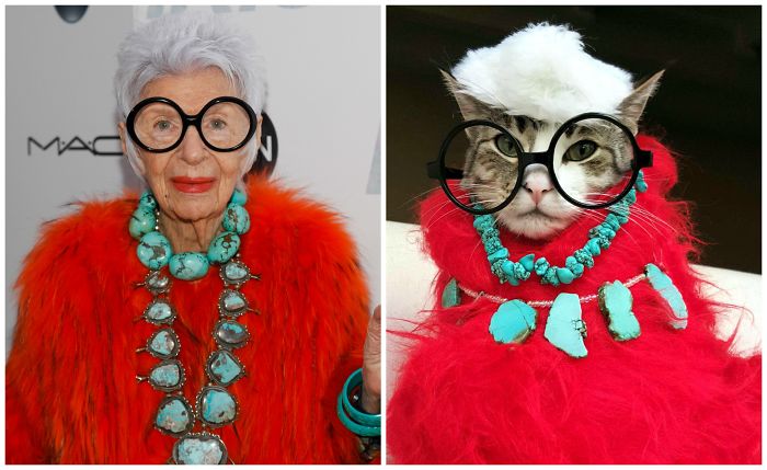 Elderly woman and cat dressed alike with large glasses, turquoise jewelry, and red fur showcasing celebrity doppelganger animals.
