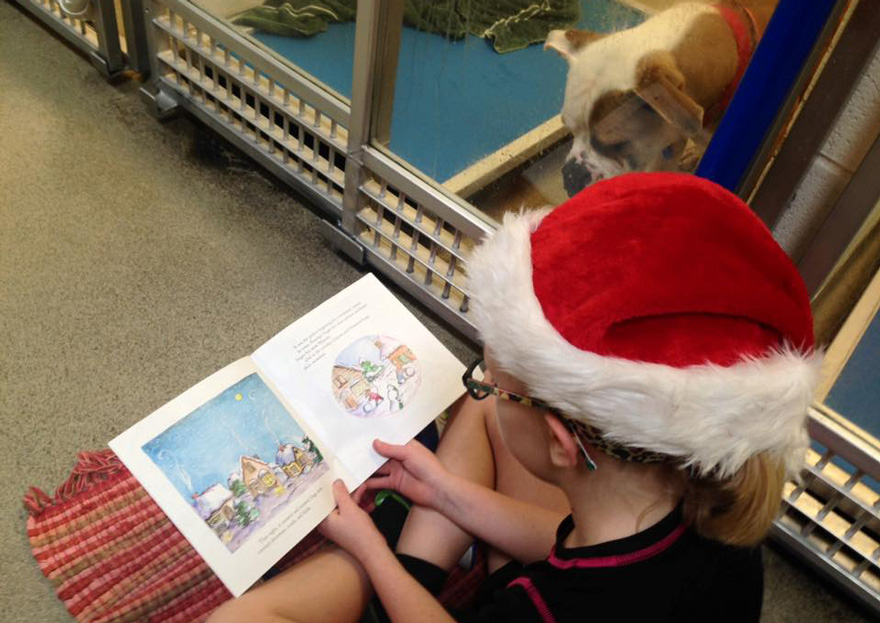 Дети читают собаке. Дети чтение собаки. Ребенок читает собаке. Дети читают книги собакам в приюте. Собака читает новости.
