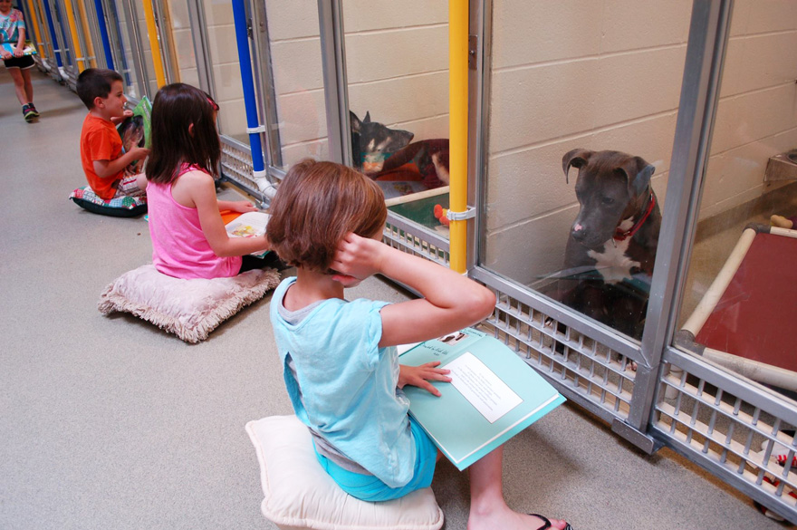 kids-read-shelter-dogs-human-society-of-missouri-3 kids-read-shelter-dogs-human-society-of-missouri-3