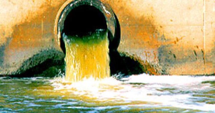 Look What We Have Done To This World