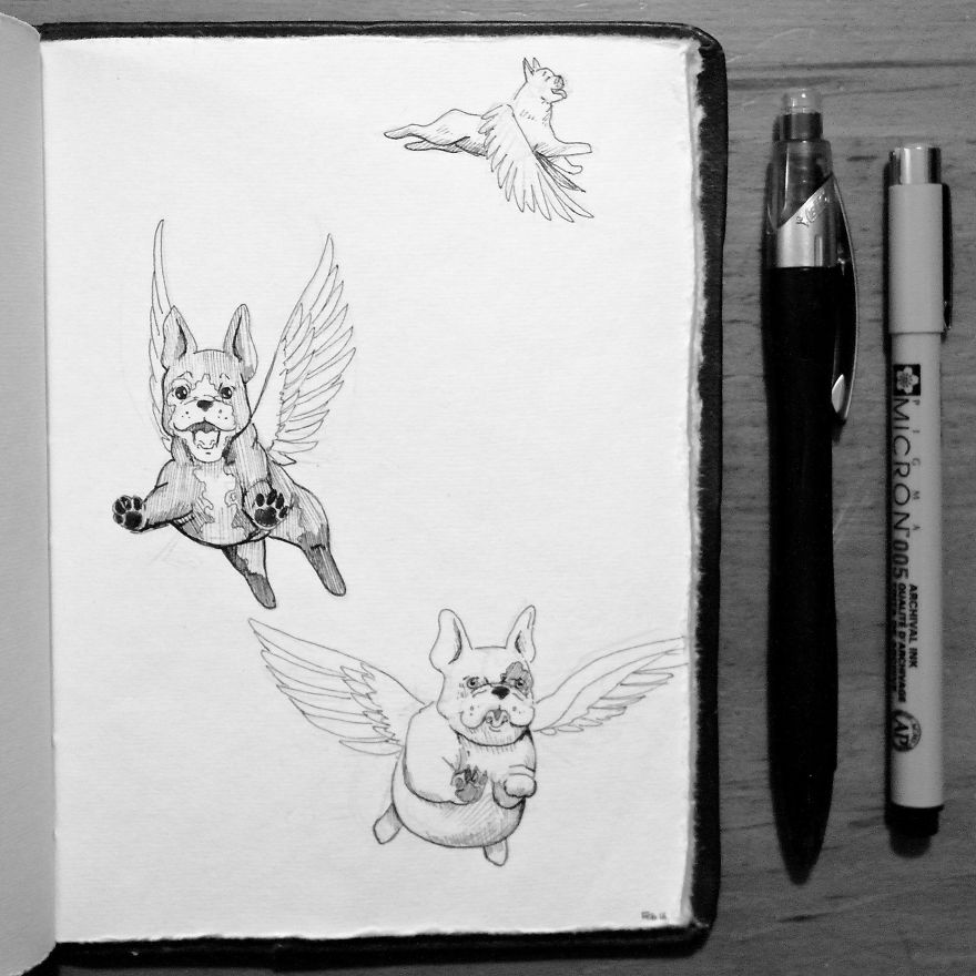 My Brother Challenged Me To Draw One Doodle A Day For A Year