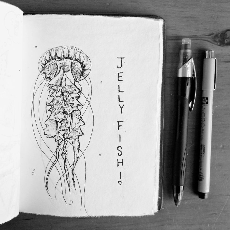 My Brother Challenged Me To Draw One Doodle A Day For A Year