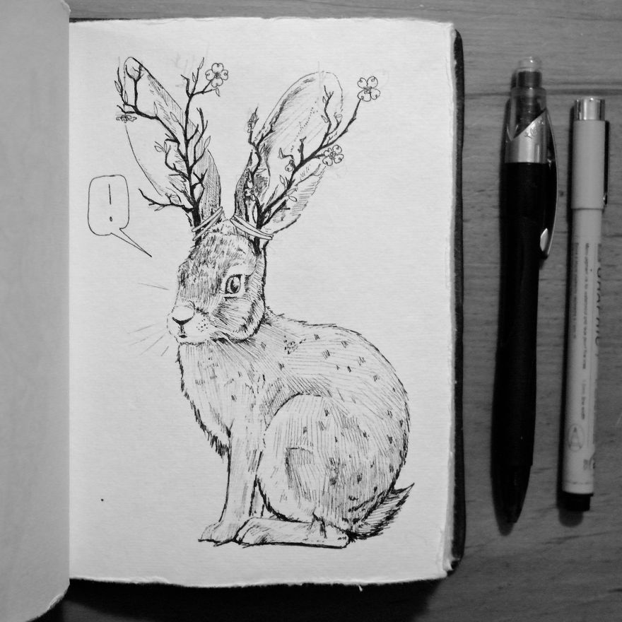 My Brother Challenged Me To Draw One Doodle A Day For A Year